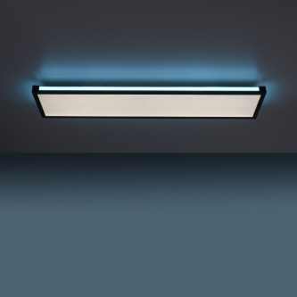 Paul Neuhaus LED "Q-Vito" DL-N-40